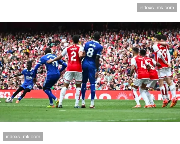 埃弗顿贝托脑震荡伤缺 布兰斯韦特赛季提前报销